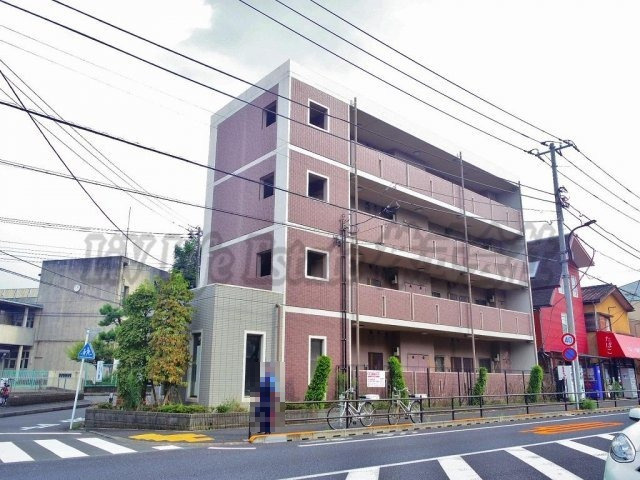 セレッソの外観