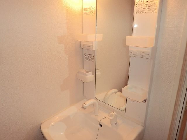 エリーゼ　フジの洗面所