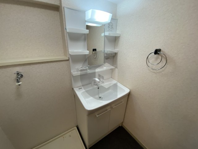 パラツィーナ小阪の独立洗面台