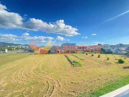 アイルパレスのバルコニー|バルコニーがあります