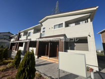 シックス ストーンの画像