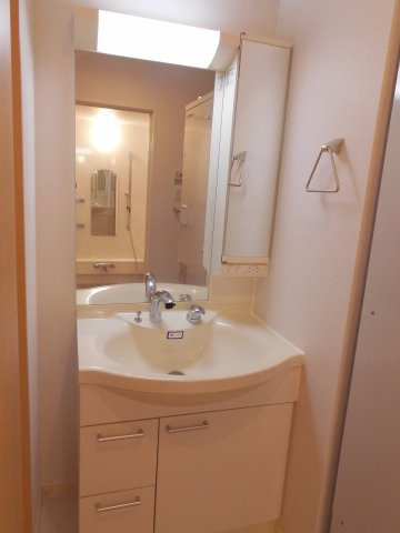 グラッシャス上ノ丸の洗面所