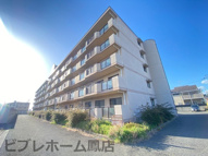 ソルレヴェンテ平岡の画像
