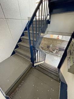 【その他】 | サングレース