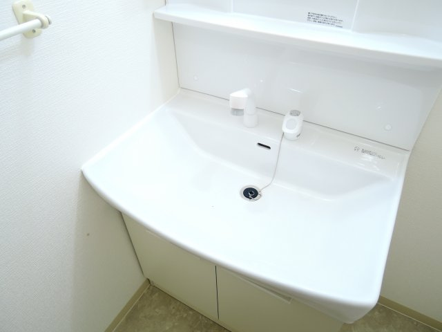 ドムス西高槻の洗面所