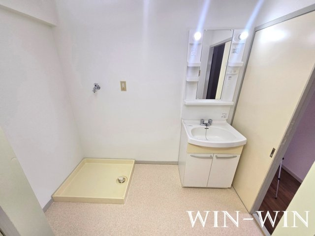 グリーンパーク吉田の洗面所