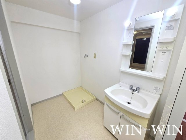 グリーンパーク吉田の洗面所