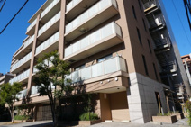 サニードエルの画像