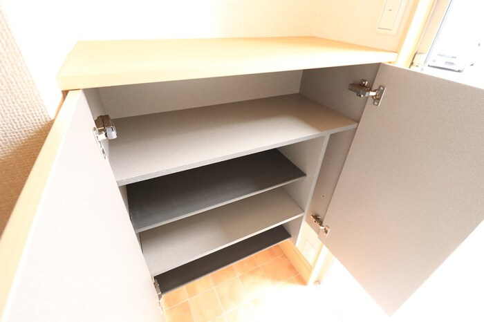 グラマードマレⅨの玄関|シューズボックス付き