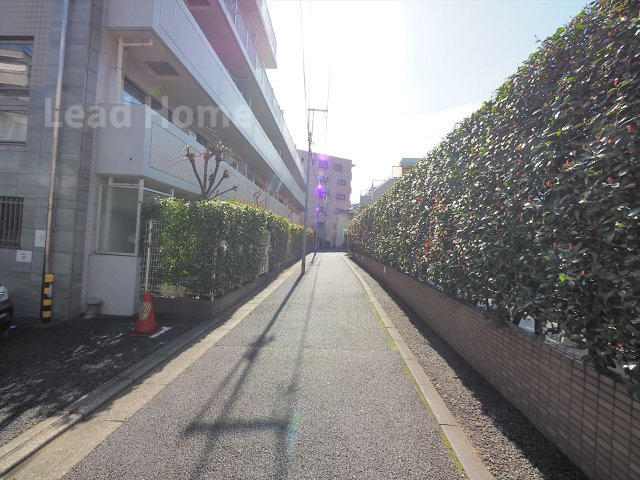 【その他】 | サンクタスガーデン目黒 | 前面道路