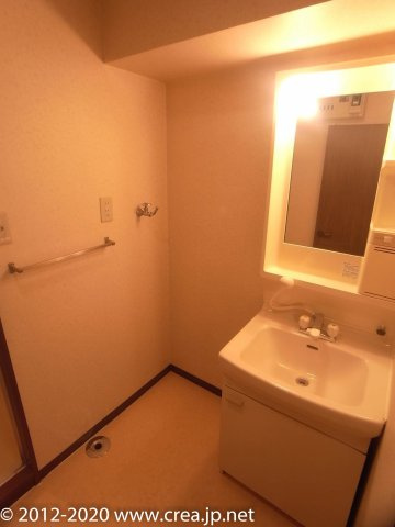 ピジョン田園の洗面所