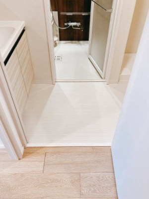 【洗面所】 | セジョリ墨田EASTⅡ