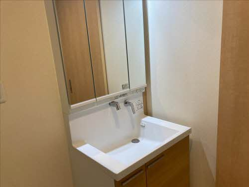 フラワーガーデン イーストの洗面所