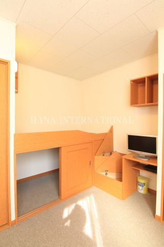 プラムⅡの内装