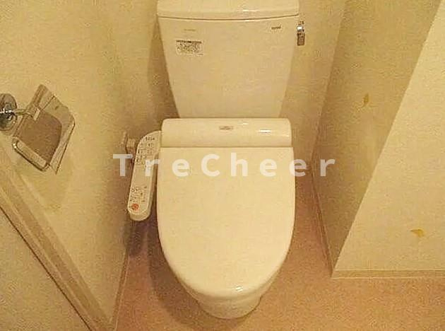 スカイコート文京江戸川橋のトイレ