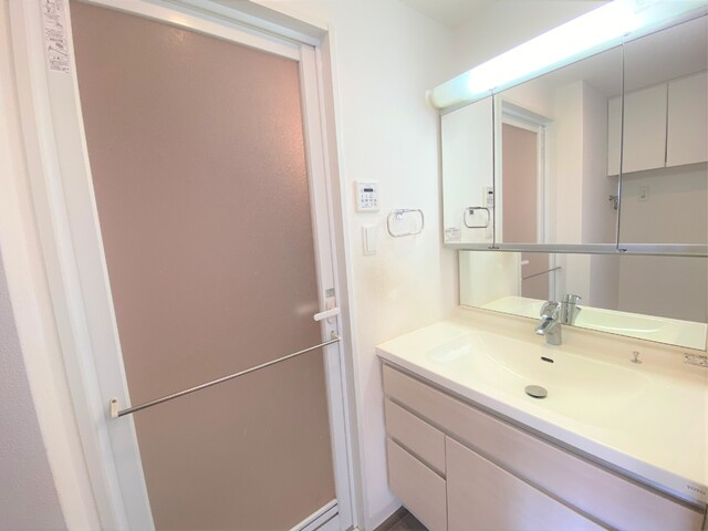 アルファスマート西国分の洗面所