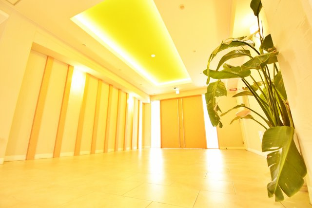 アイボリーポワント難波ＷＥＳＴのエントランス