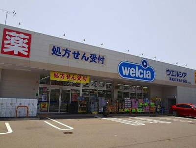 【周辺】 | デナリ | ウェルシア海老名東柏ヶ谷店まで650m