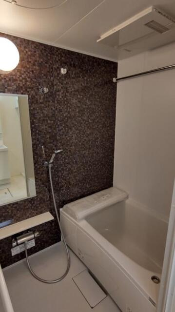 ジェンティーレ・トリヤマⅡの浴室