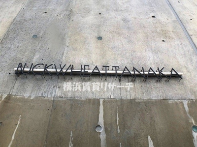 【その他】 | バックウィートタナカ