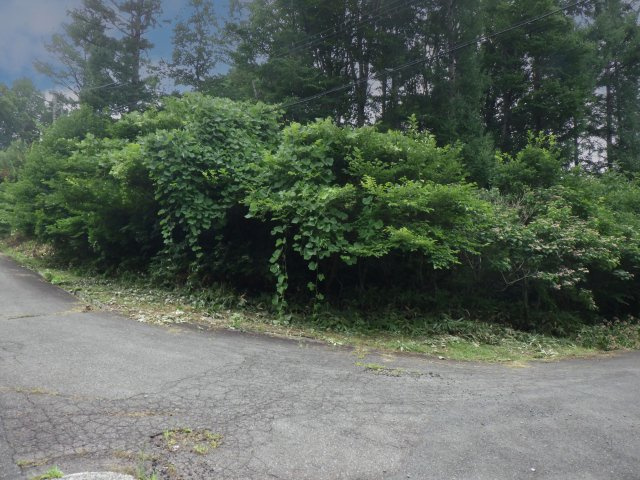 八幡平パークランド①の前面道路含む現地写真