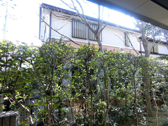 Ｔ＆ＮＳの展望|★眺望