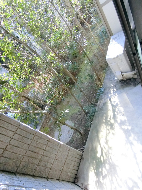 Ｔ＆ＮＳのバルコニー|★バルコニー