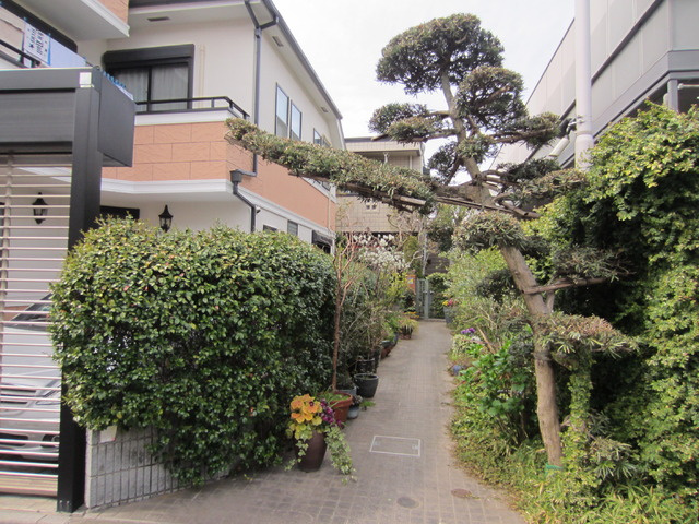 Ｔ＆ＮＳのエントランス|★綺麗なアプローチです★