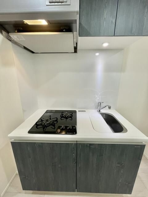 エストゥルース両国のキッチン