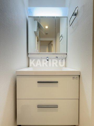 ブランシュ今里の洗面所