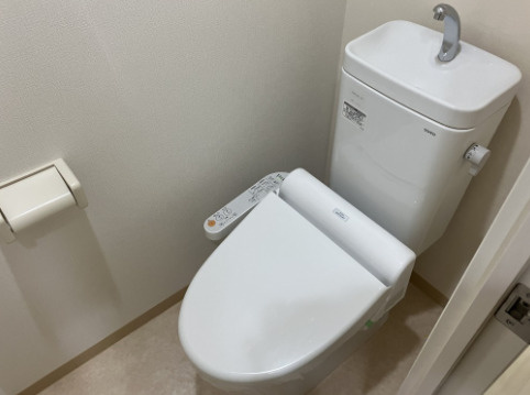 パレー　ブランシェのトイレ