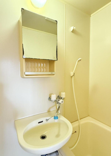 コーポラスSKの洗面所