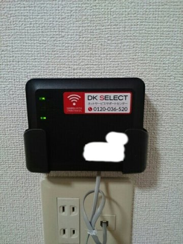 アムールアルファのその他