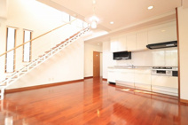 おもろまち戸建ての画像