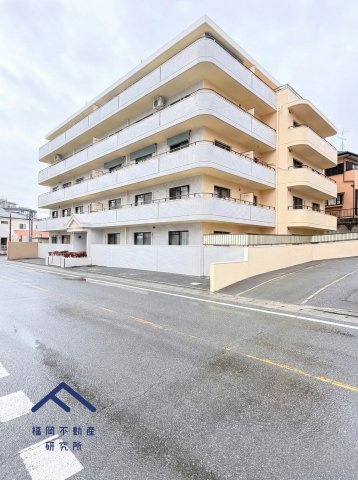 アムール堤の外観