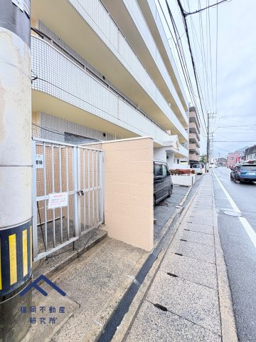 アムール堤のその他