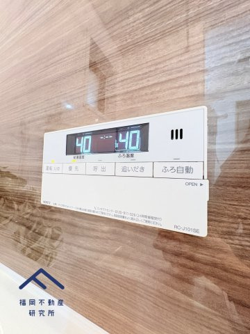 アムール堤のその他