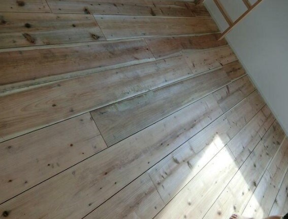 クレインウッドのその他