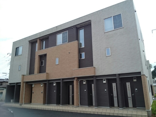 サンムーン　ゴールドスター　２