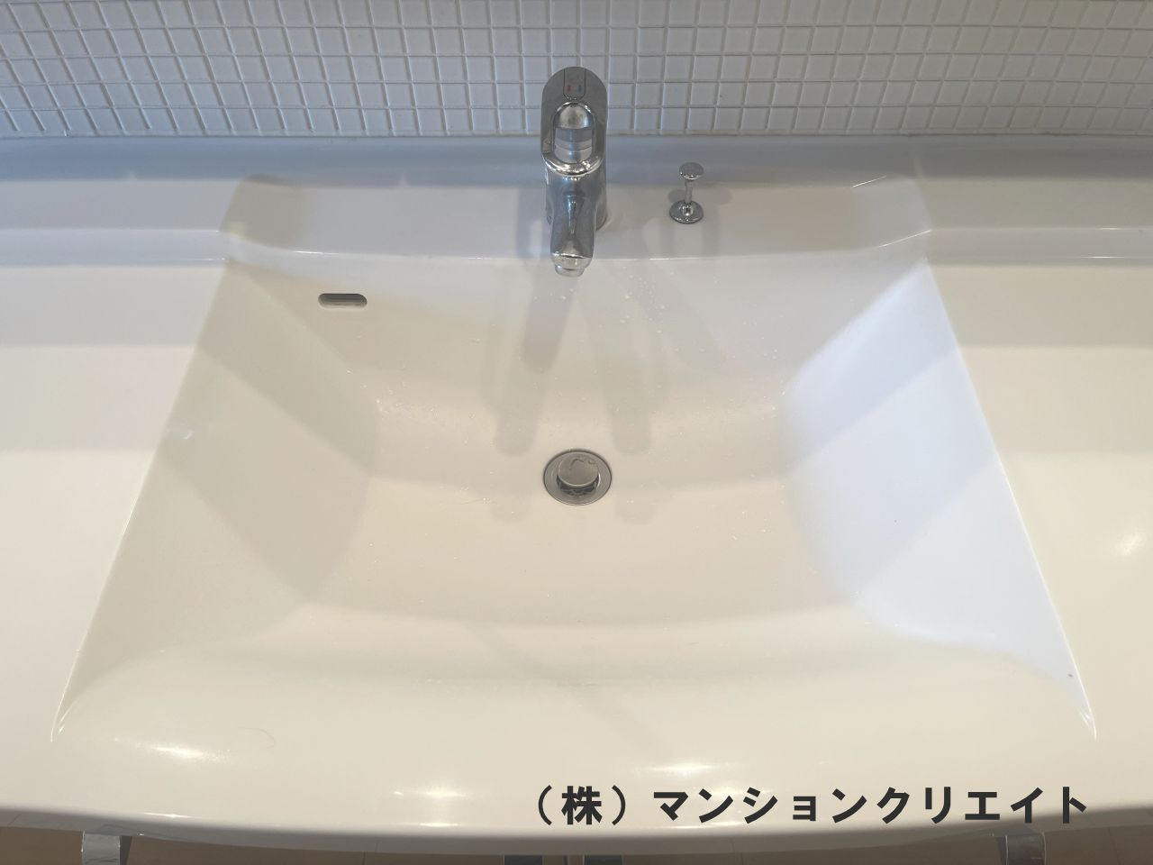 ロアール濱町桜橋 粋人の洗面所|洗面室