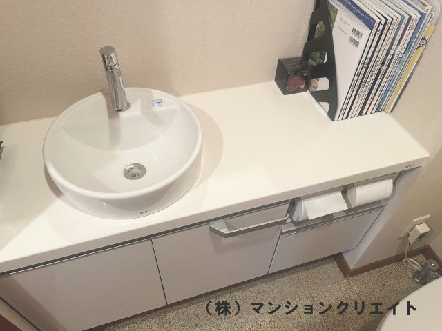 ロアール濱町桜橋 粋人のトイレ|手すり付き・手洗い付きの広いトイレです。緊急時のボタンがあります。