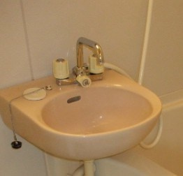 メゾンしなのの洗面所