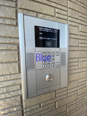 【セキュリティ】 | カリーサビラー