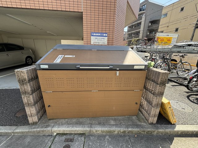 Ｒｉｃｏ　ｃｕｎａの外観