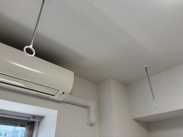 Ｒｉｃｏ　ｃｕｎａの居間・リビング