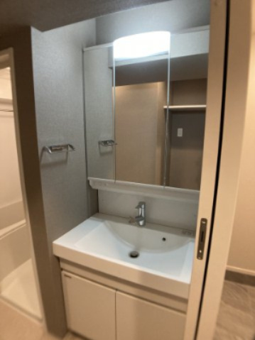 RELUXIA両国緑4丁目の洗面所