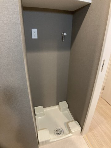 RELUXIA両国緑4丁目の洗面所