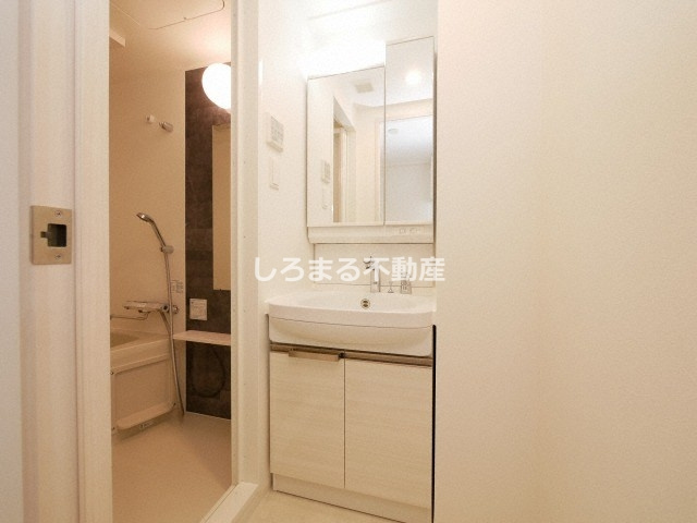 エスリード難波ザ・メゾンの洗面所