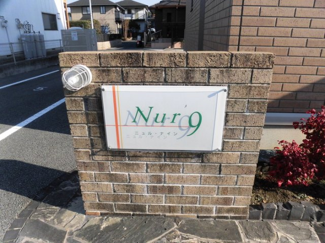 ニュル・ナインのその他