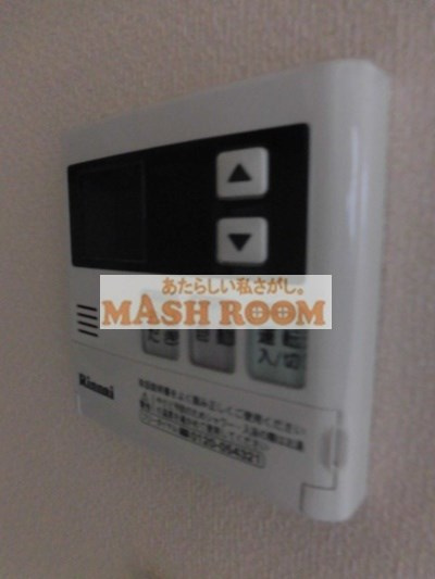 フェリーチェのその他